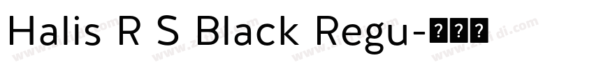 Halis R S Black Regu字体转换